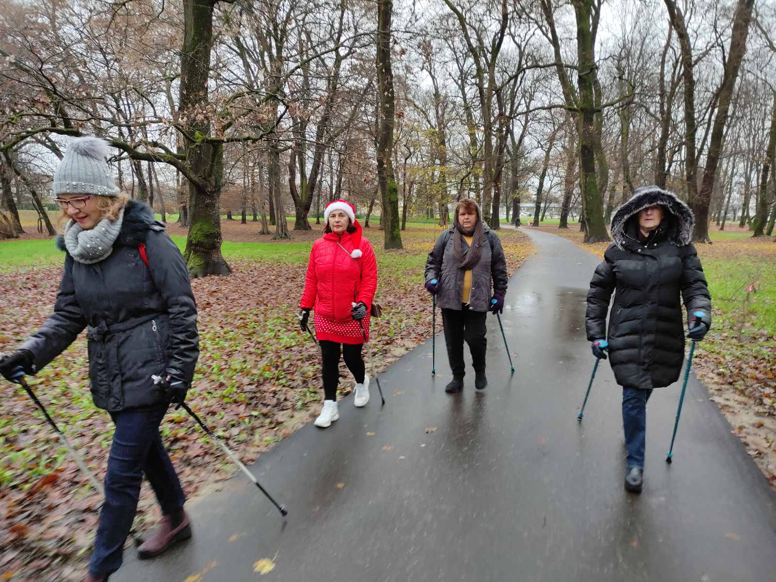 Ni kiša ih nije omela: Sedmero veličanstvenih na nordijskom hodanju