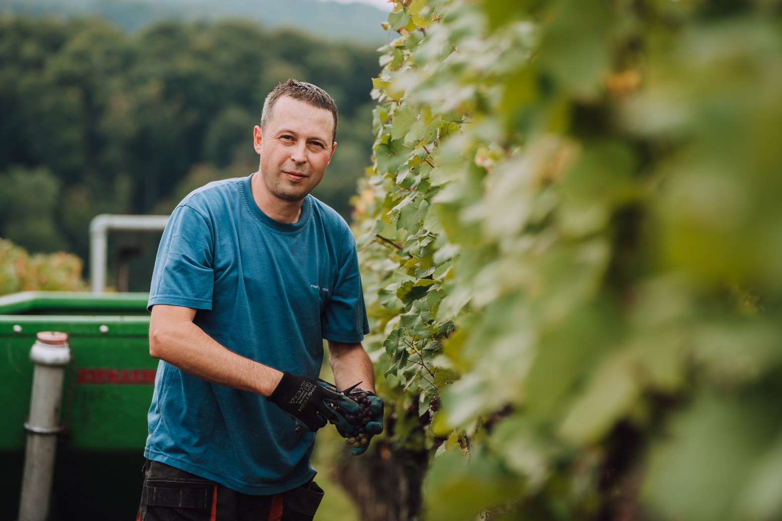 Image 5076608 (auto)