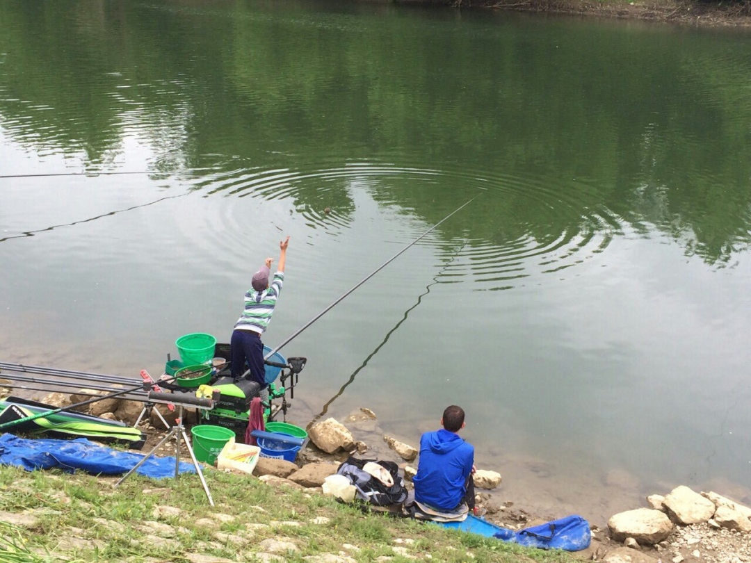 image8228c8484e4804febfe471c73f