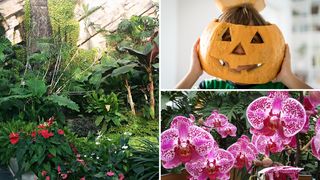 Image 5879653 (auto) Image 5879653 (auto)