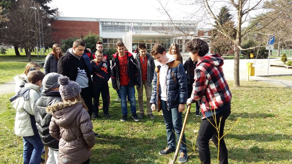 20160309125253668882