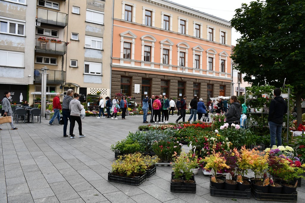 Festival jagoda, cvijeća i tradicije