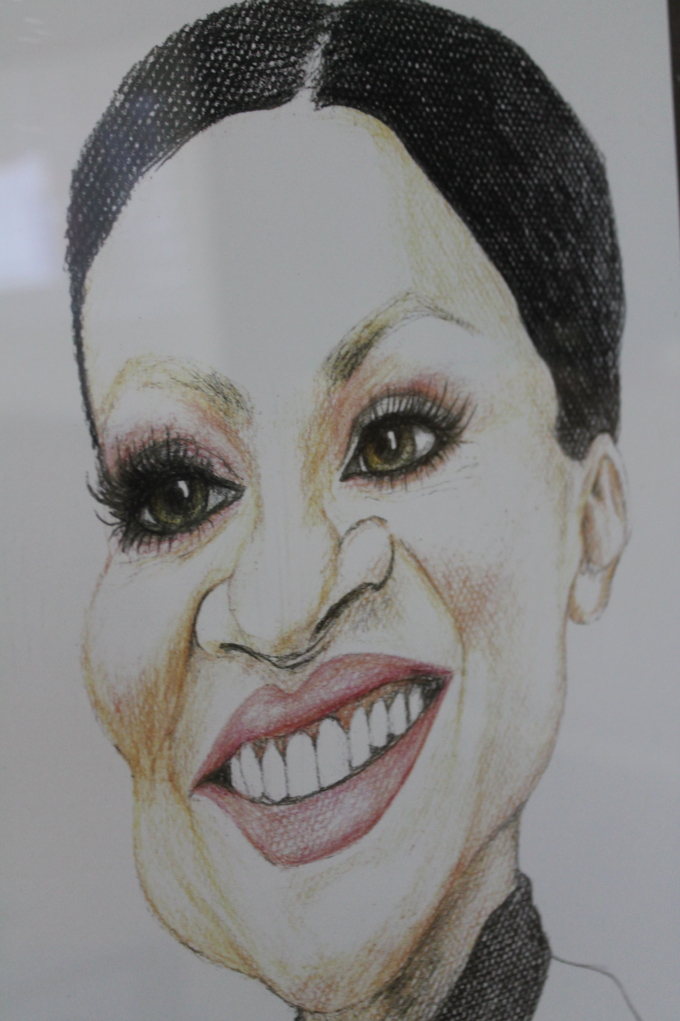 Izložba karikatura u Malom Mihaljevcu