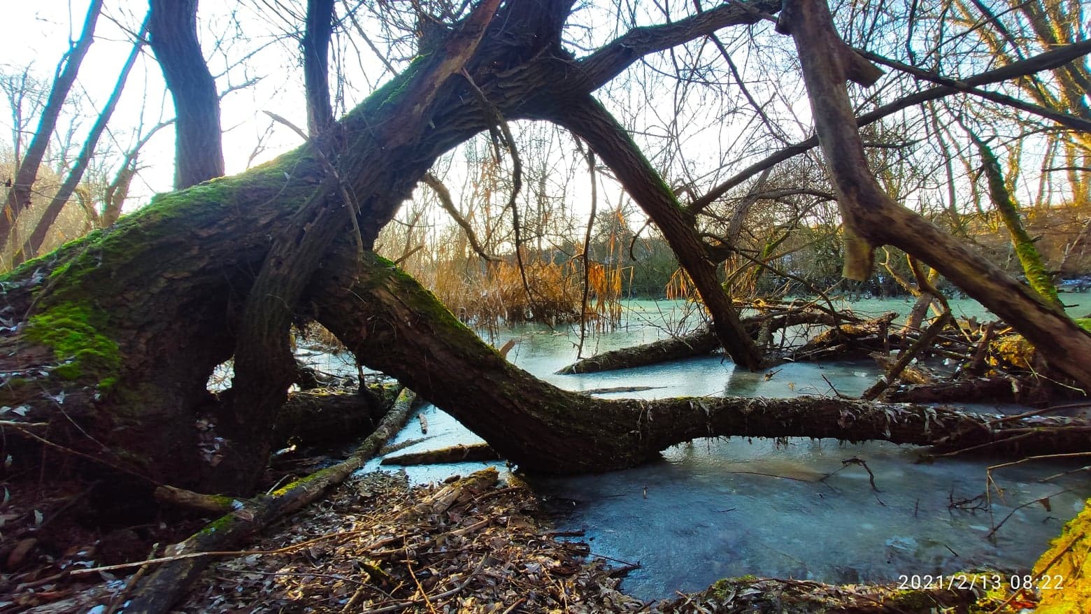 Zvonimir Habuš iz Kotoribe očarava fotografijama netaknute prirode