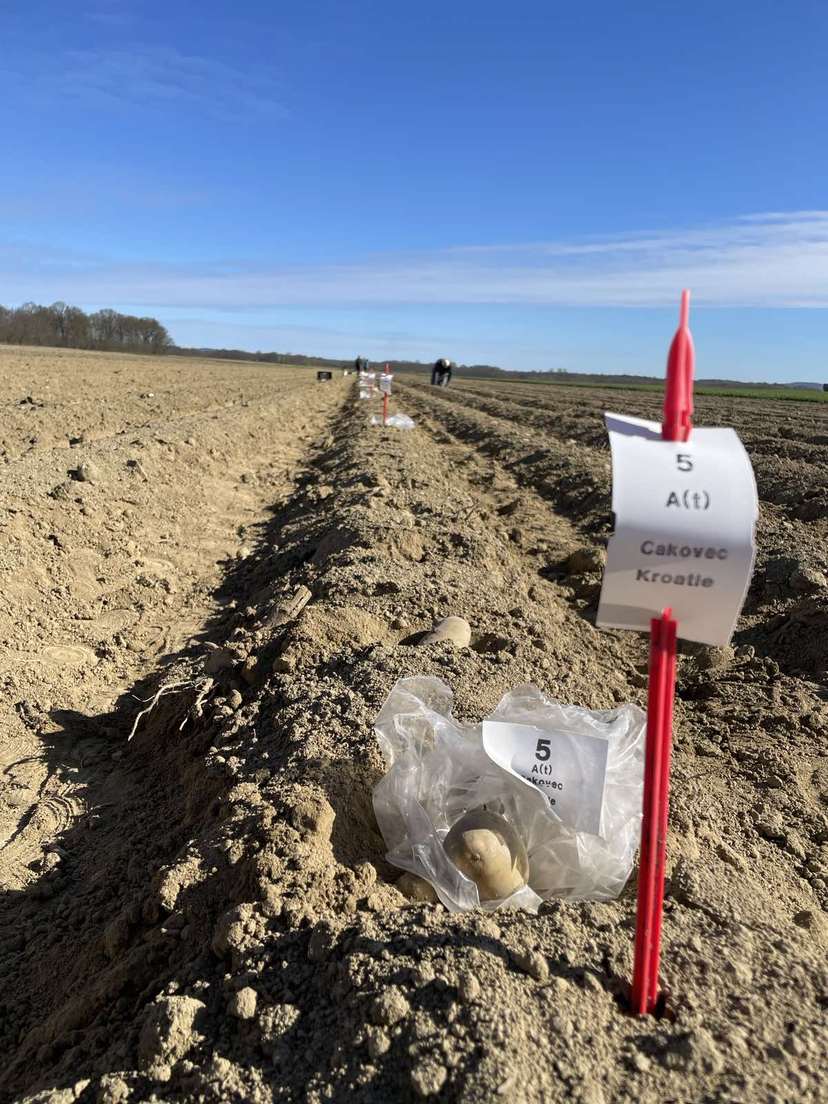 Tomislav Nikolina Filipović Tomislav Nikolina Filipović