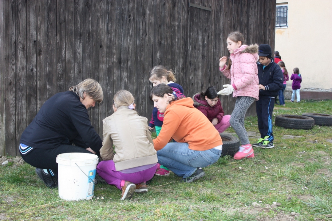 img4193resizekopija667540