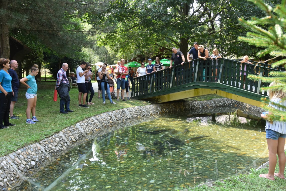 Image 5803683 (auto)