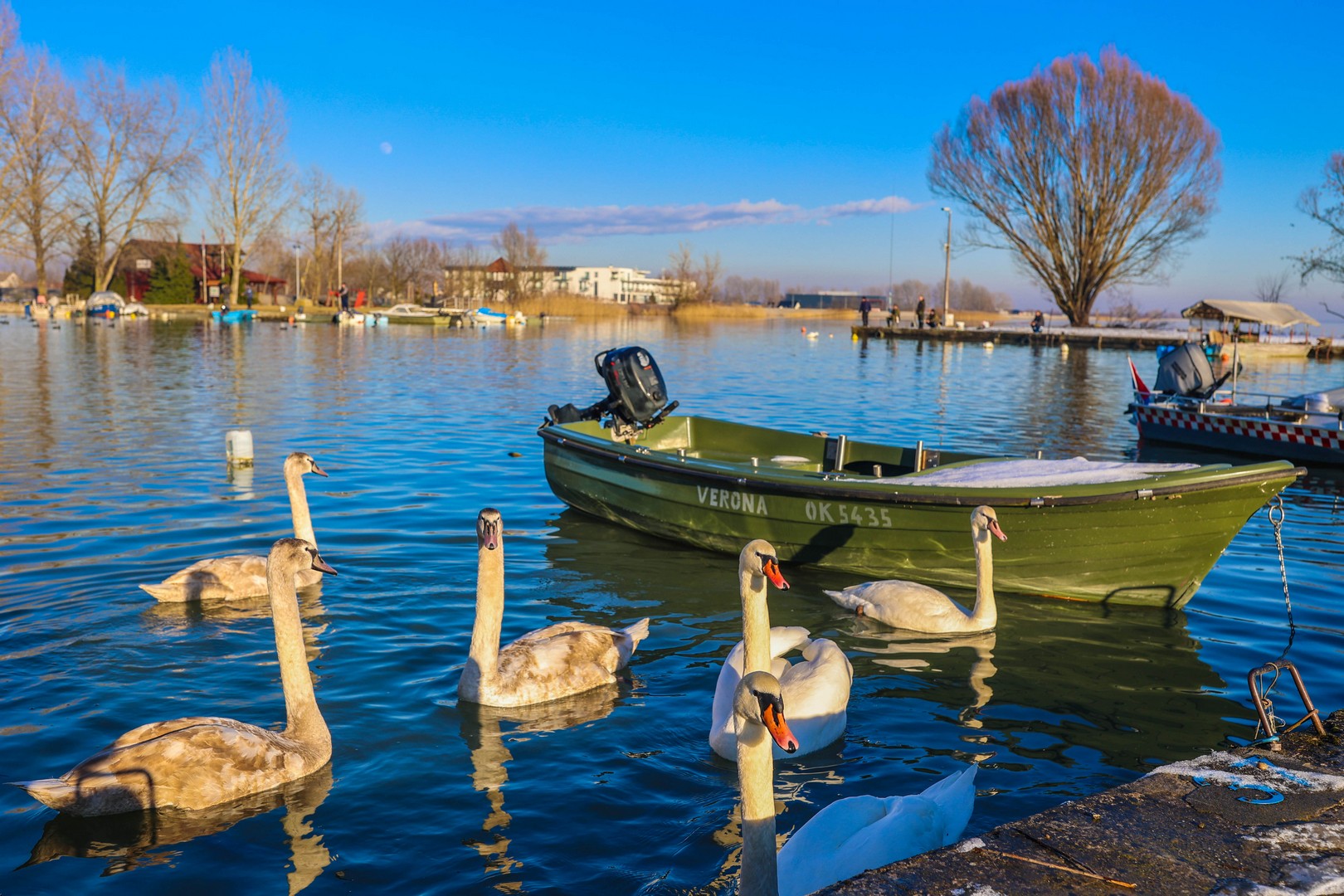 ZIMA NA MARINI Fotografije Miroslave Hranjec će vas oduševiti