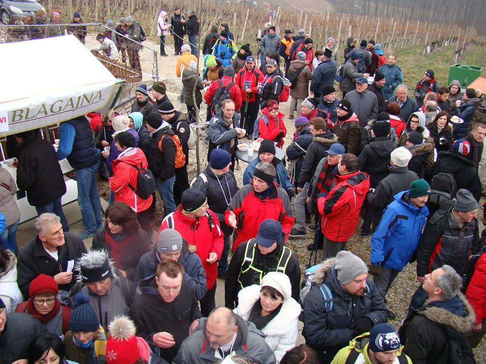 1263131180207739658821248531636