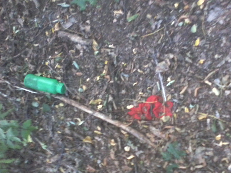 fotografija0032998080