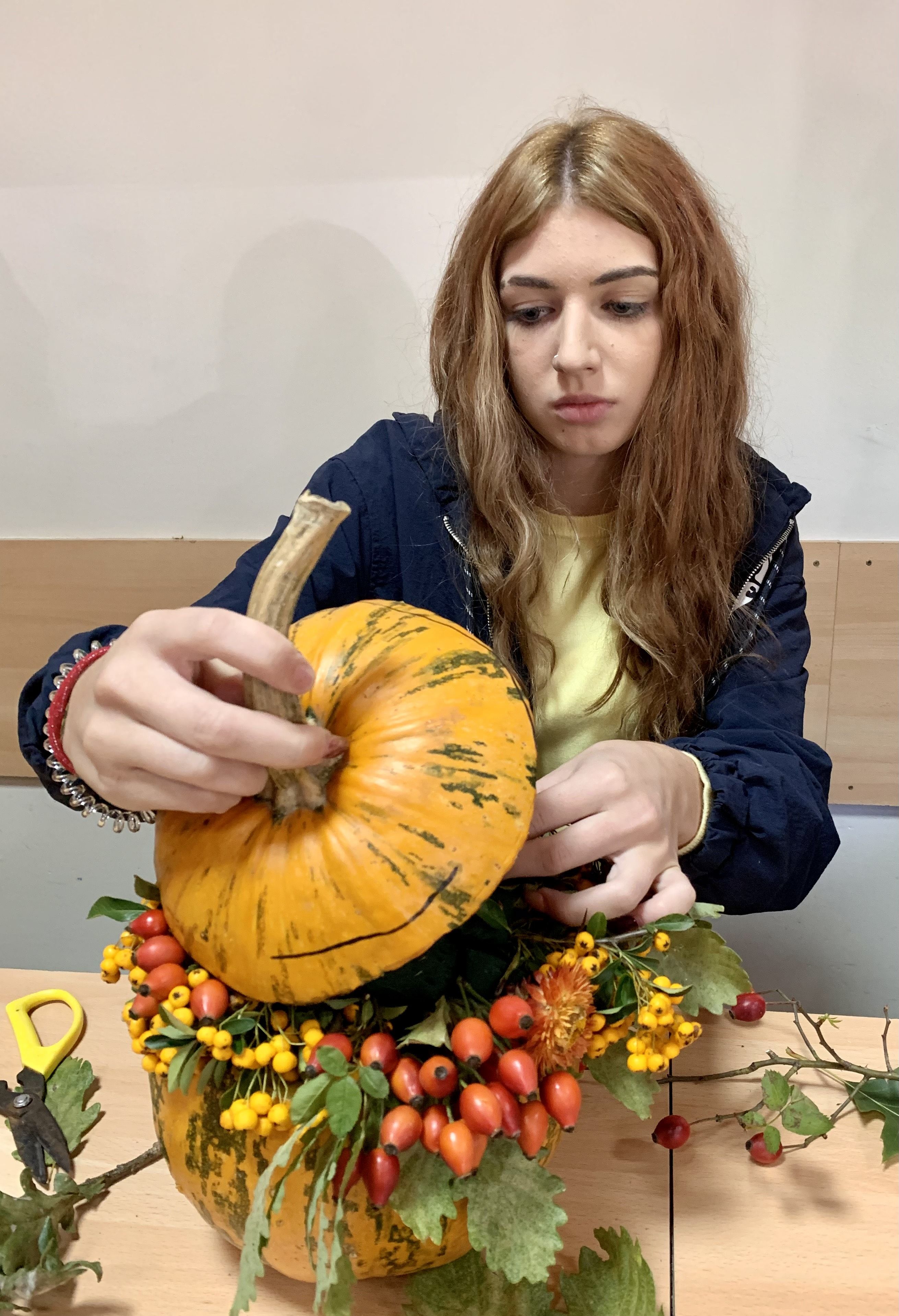 Gospodarska škola Čakovec