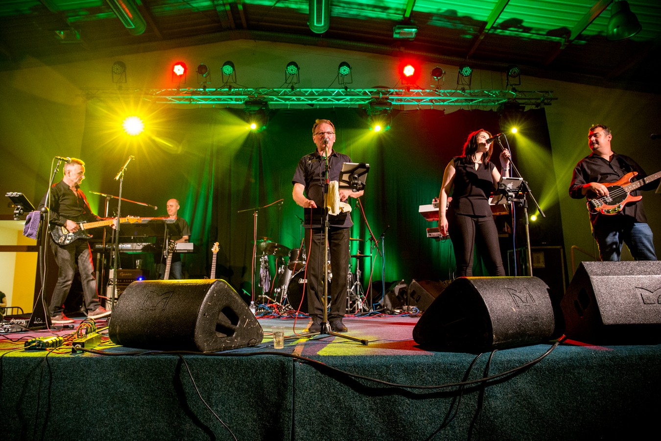 VIDEO I FOTO Neda Ukraden u Nedelišću okupila fanove svih generacija