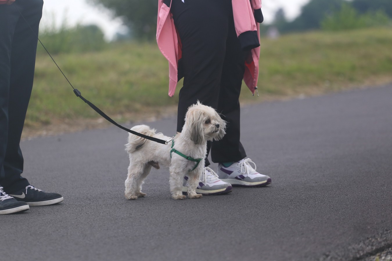 Klikom po Marini (28.7.2019.)