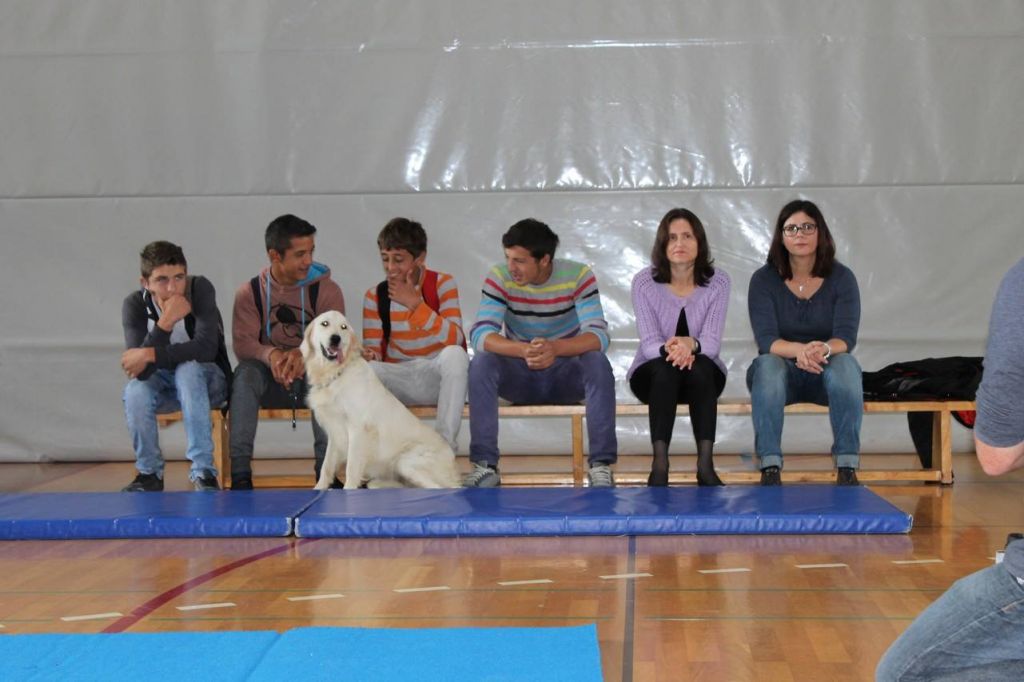 1448067953621001323823645217194