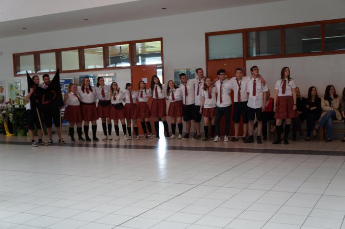 largeimg266905800369