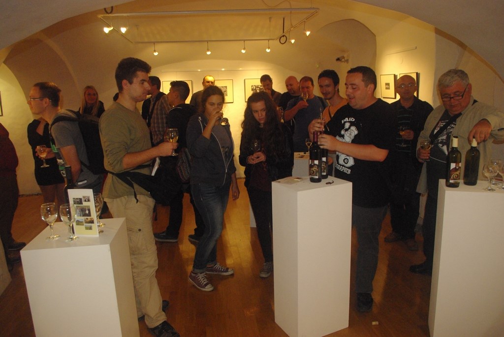 imgp3923kopiraj719585