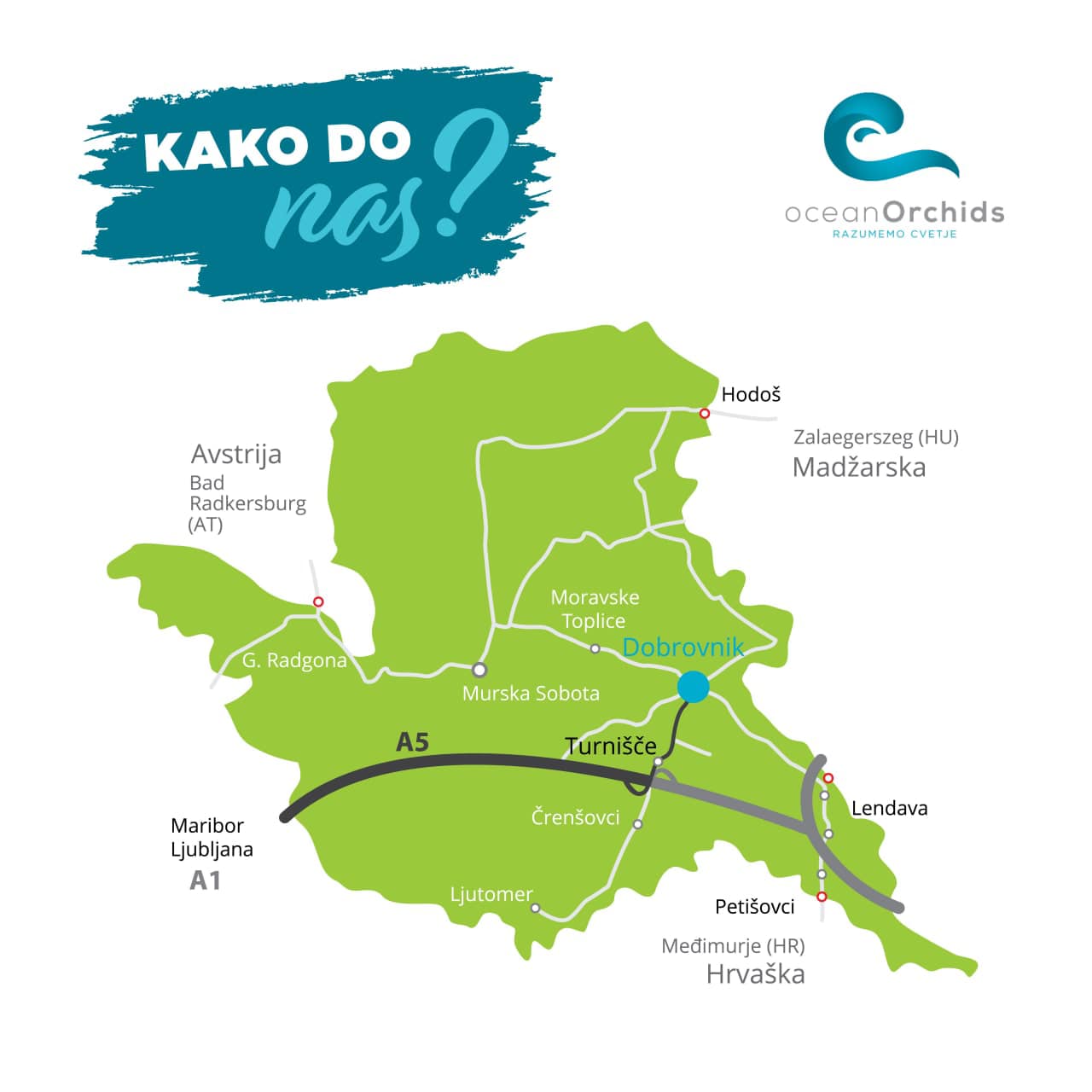 Image 5818447 (auto)