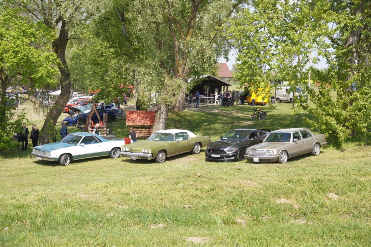 2. Carshow Podbrest Autoklub Apex (50)