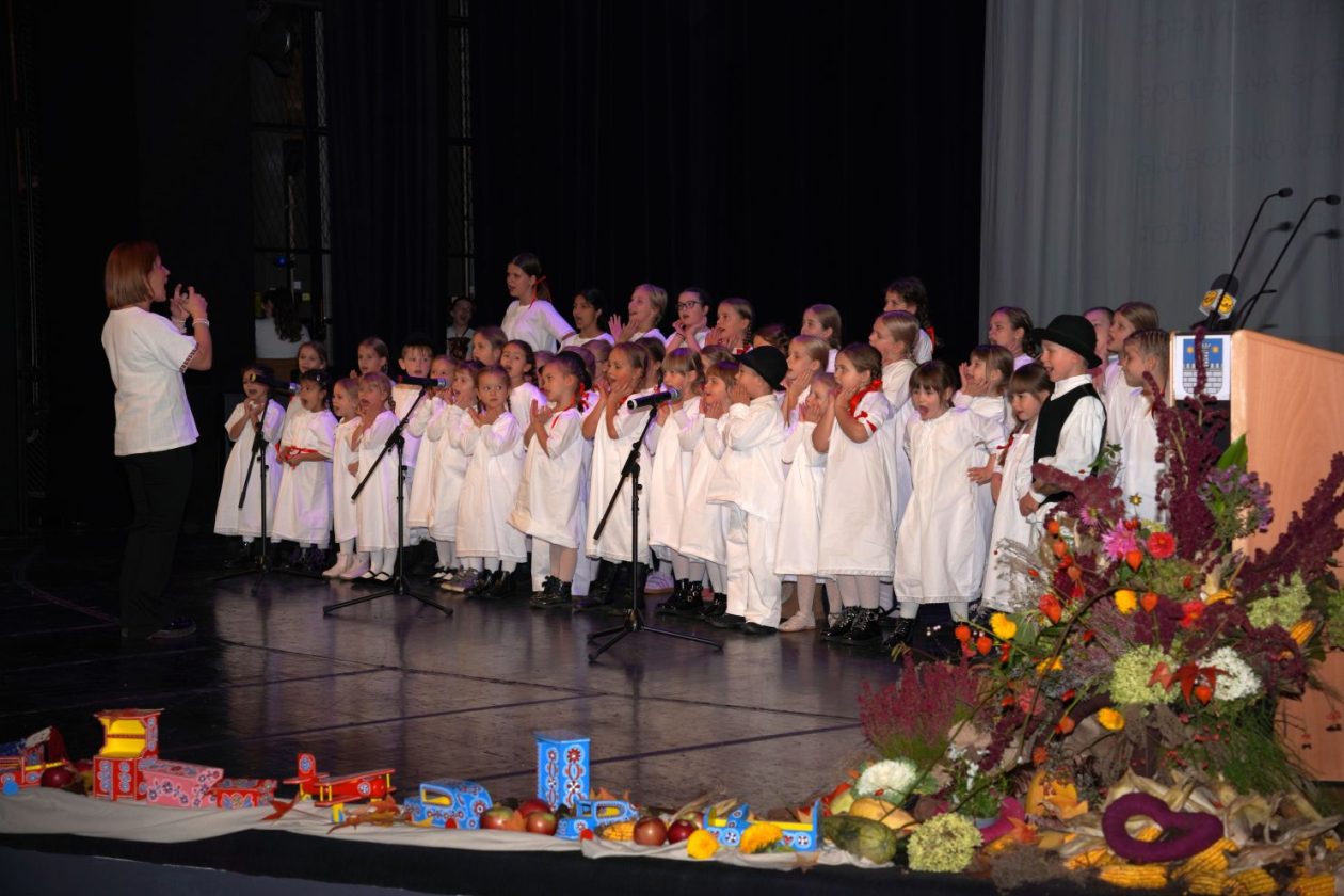 20 godina Društva naše djece Čakovec (18)