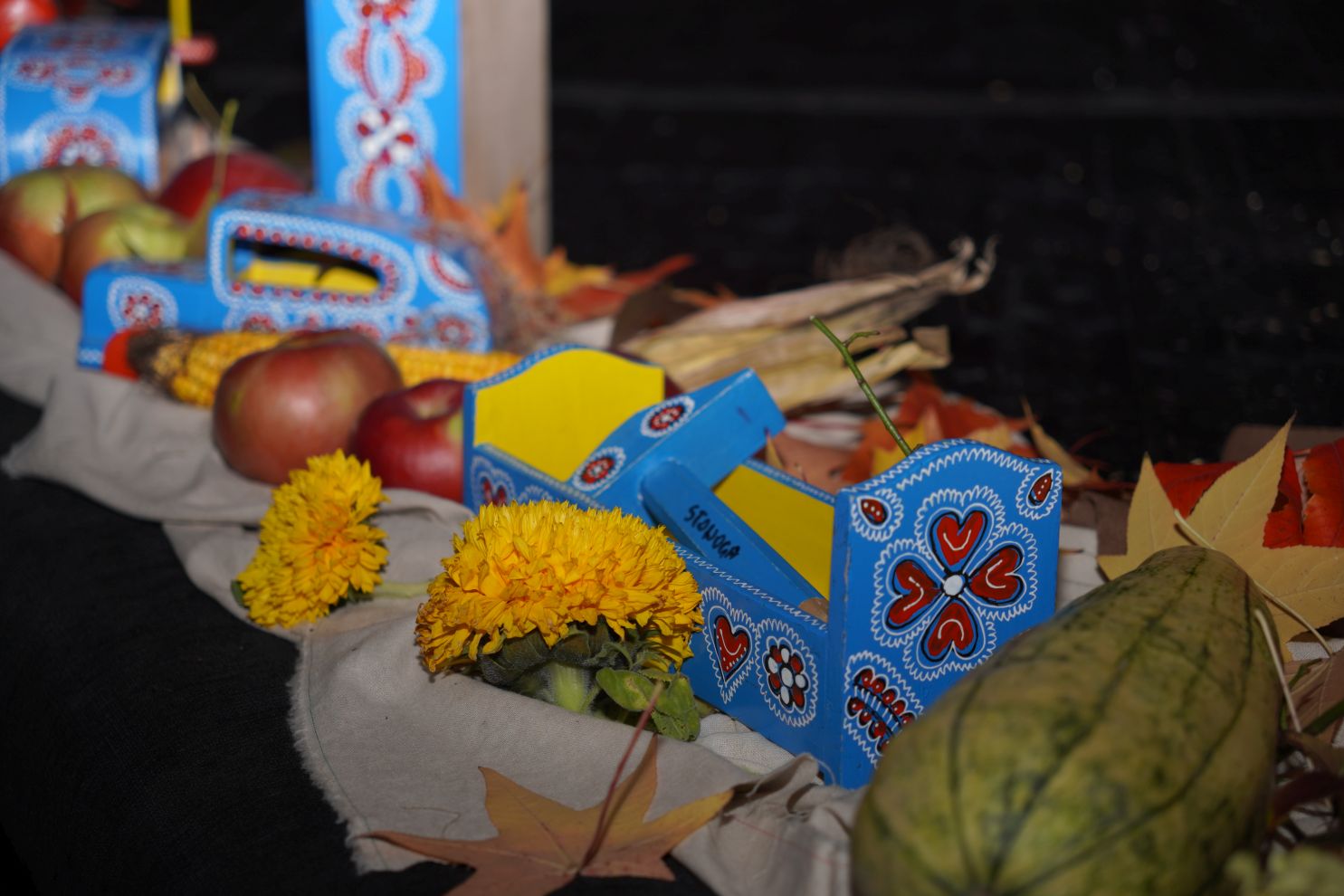 20 godina Društva naše djece Čakovec (3)