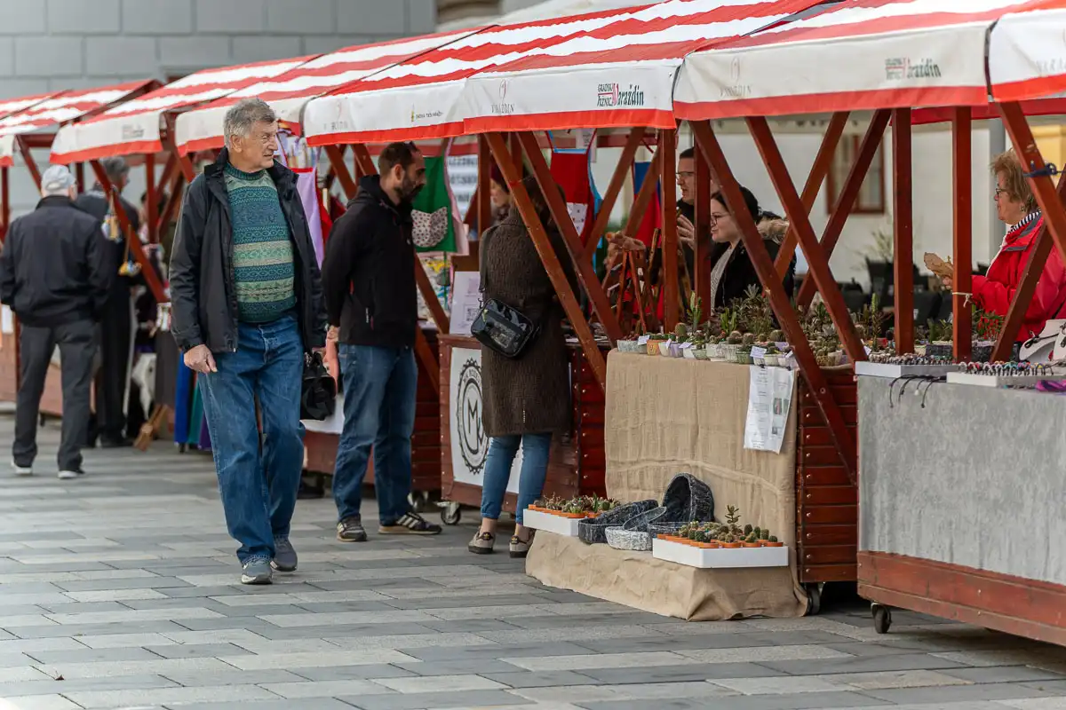 20.4.2024. – 17. Obrtnički ulični sajam_FB Media (3 of 30) 20.4.2024. – 17. Obrtnički ulični sajam_FB Media (3 of 30)