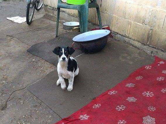 1234773711861307914016008187406