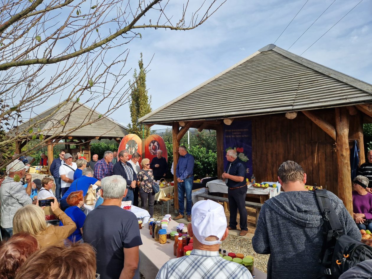 20231020_141814-scaled 20231020_141814-scaled