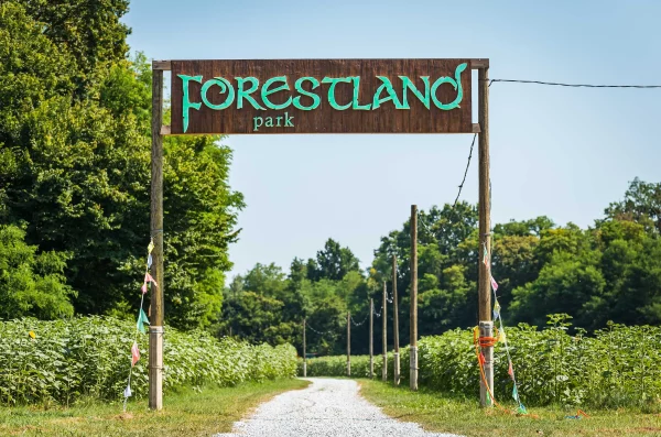 2023_07_11_ForestlandPress-60 2023_07_11_ForestlandPress-60