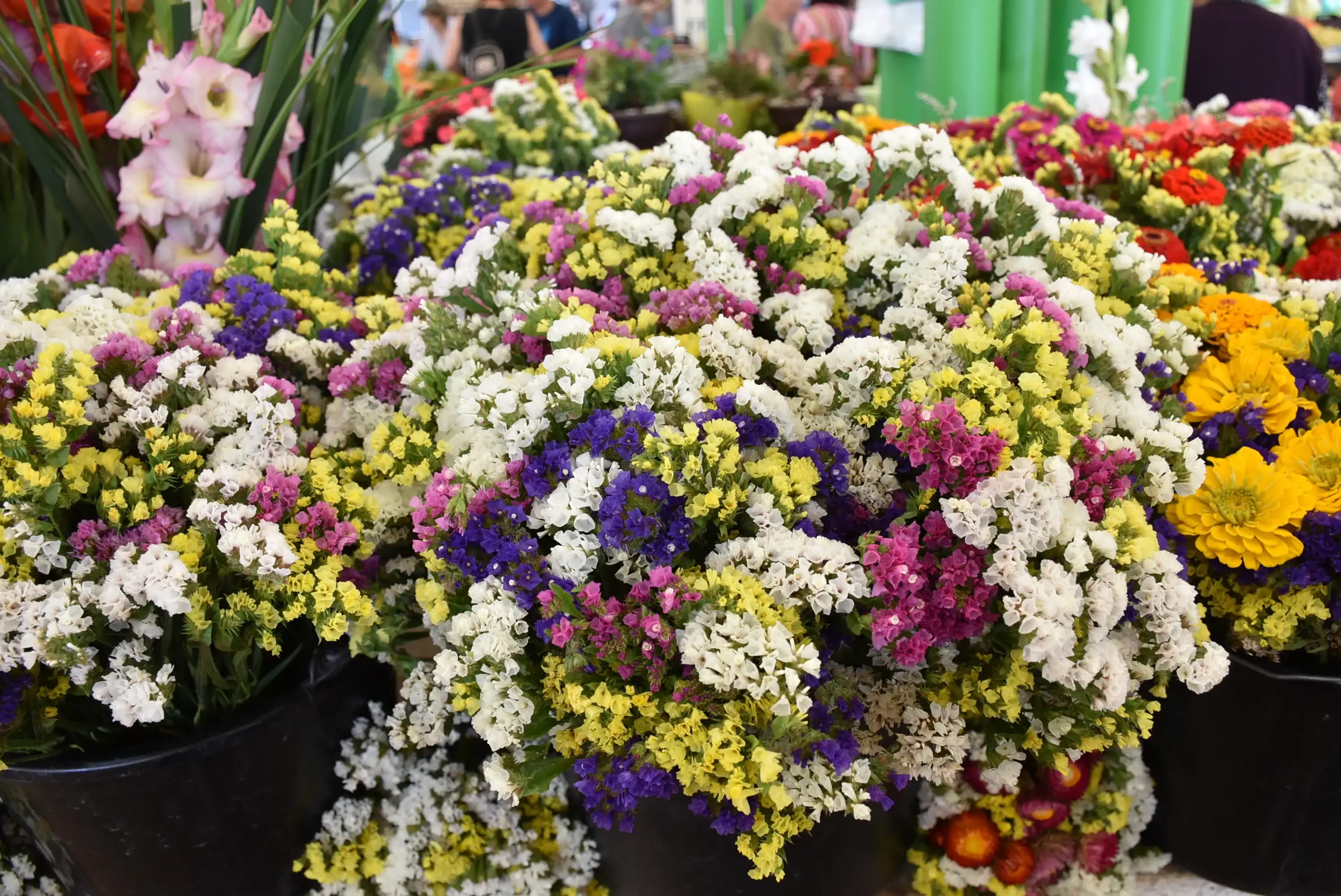 Čakovečka tržnica (11)