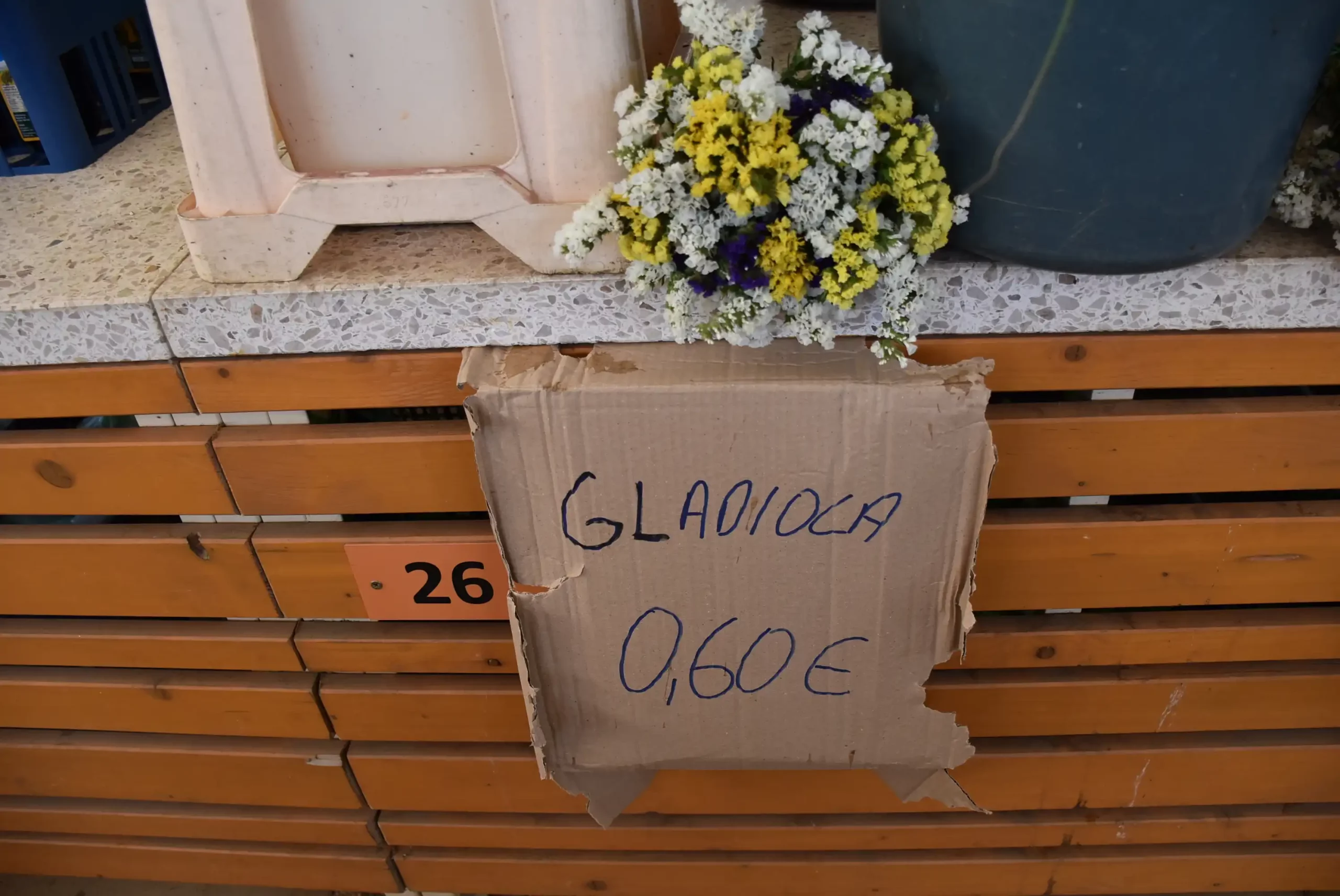 Čakovečka tržnica (13)