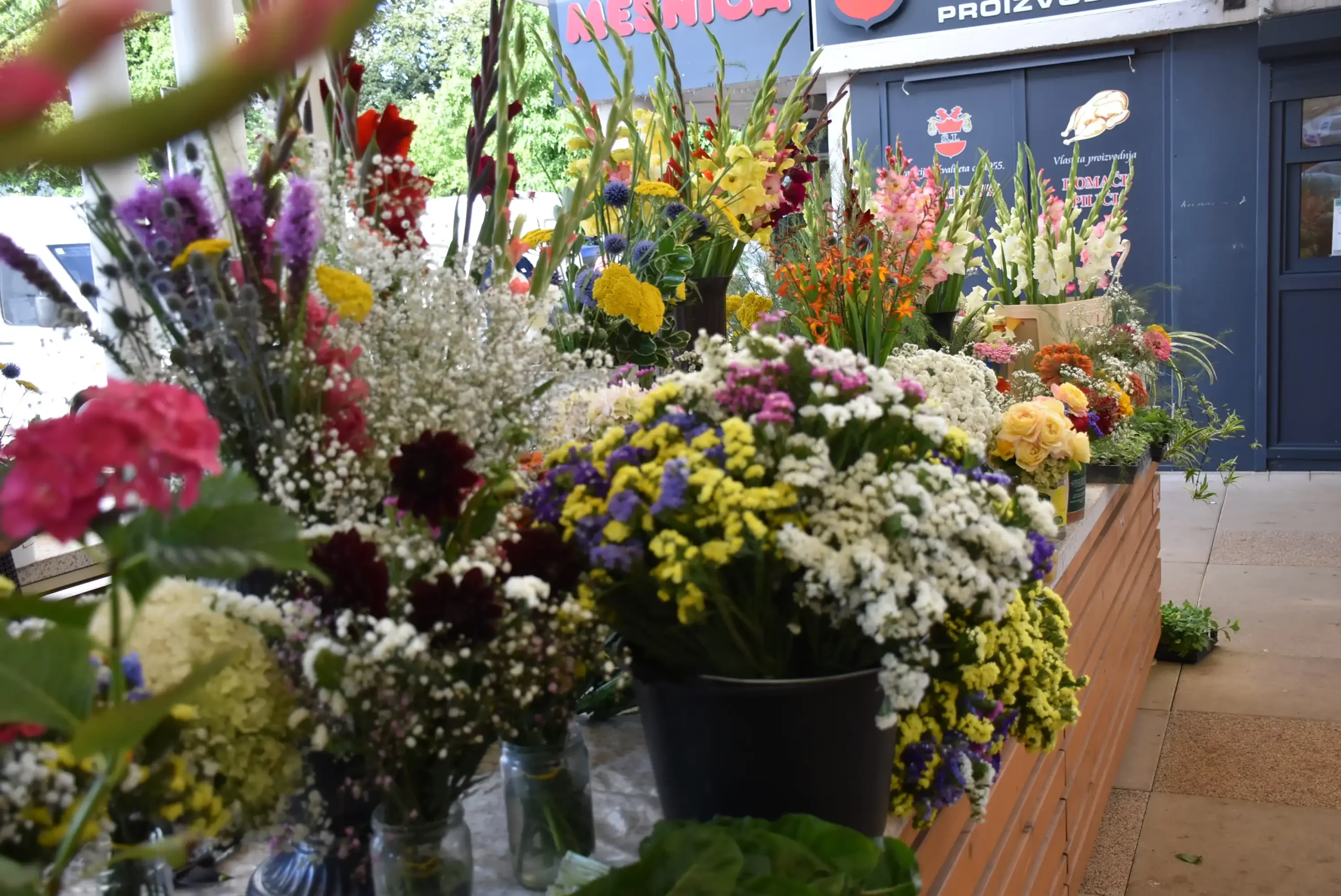 Čakovečka tržnica (14)