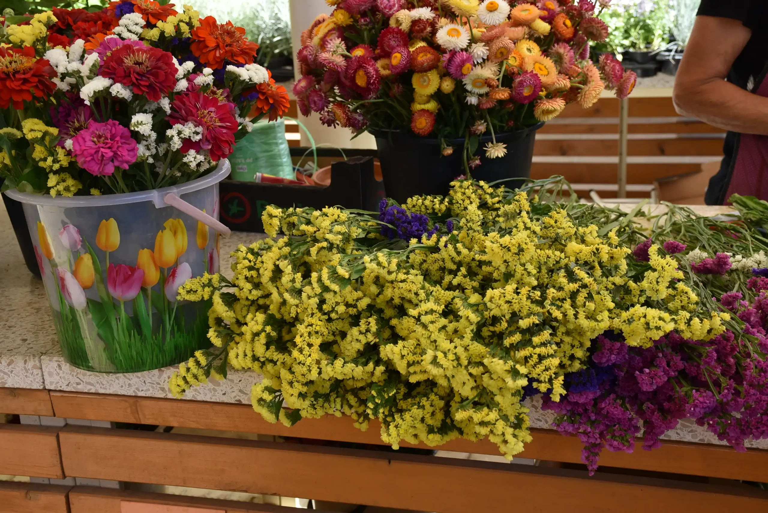 Čakovečka tržnica (26)