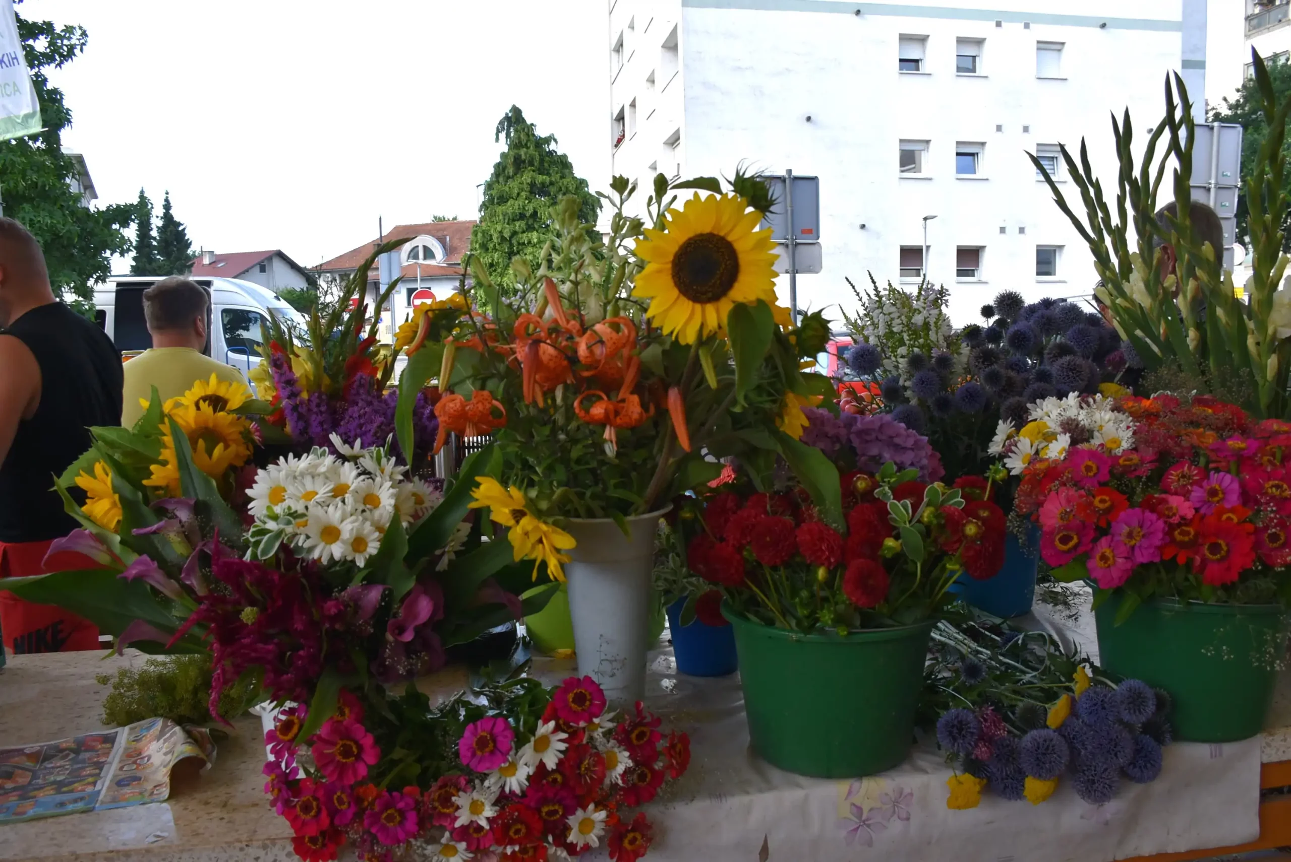 Čakovečka tržnica (5)