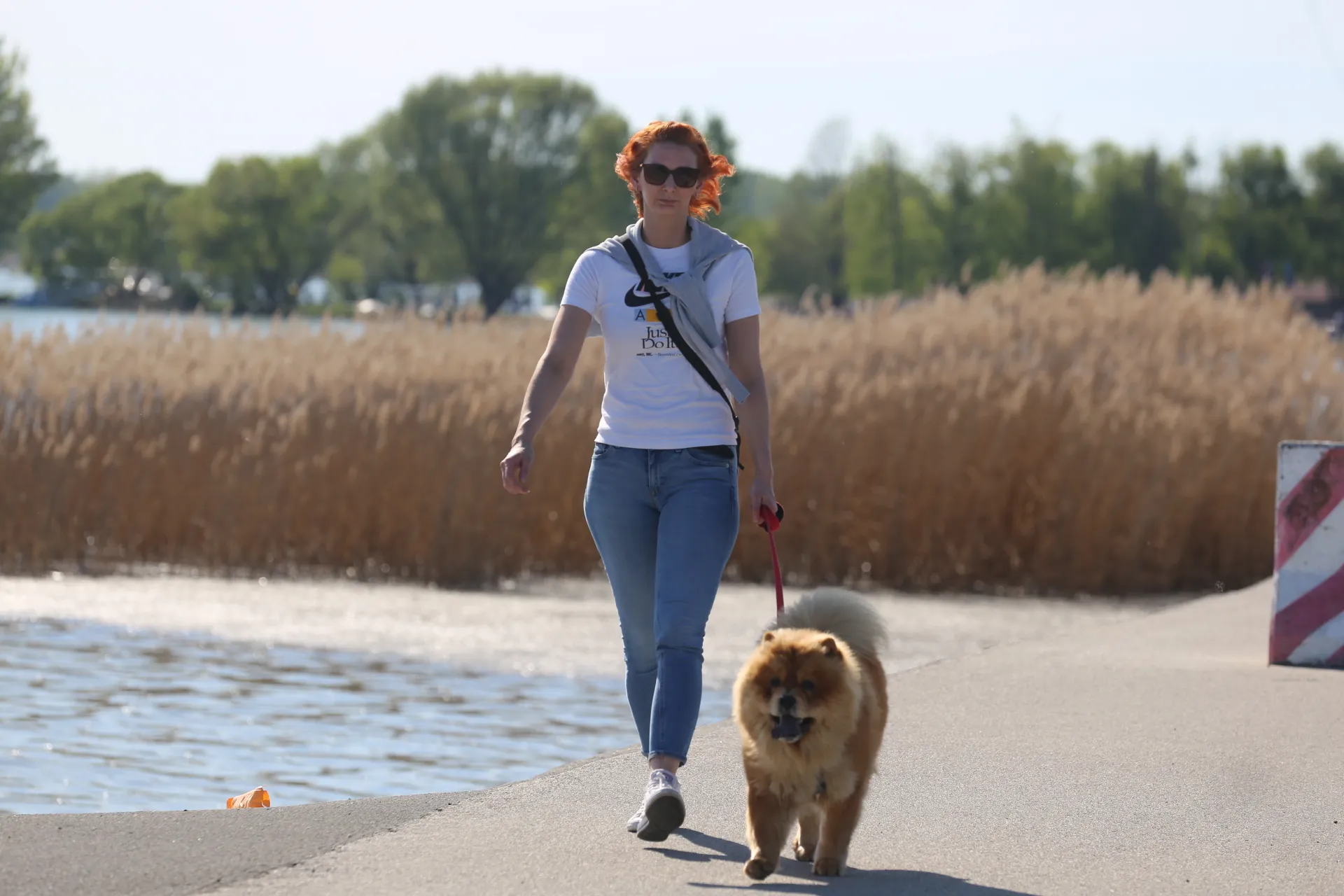 20240407145743_IMG_8277 20240407145743_IMG_8277