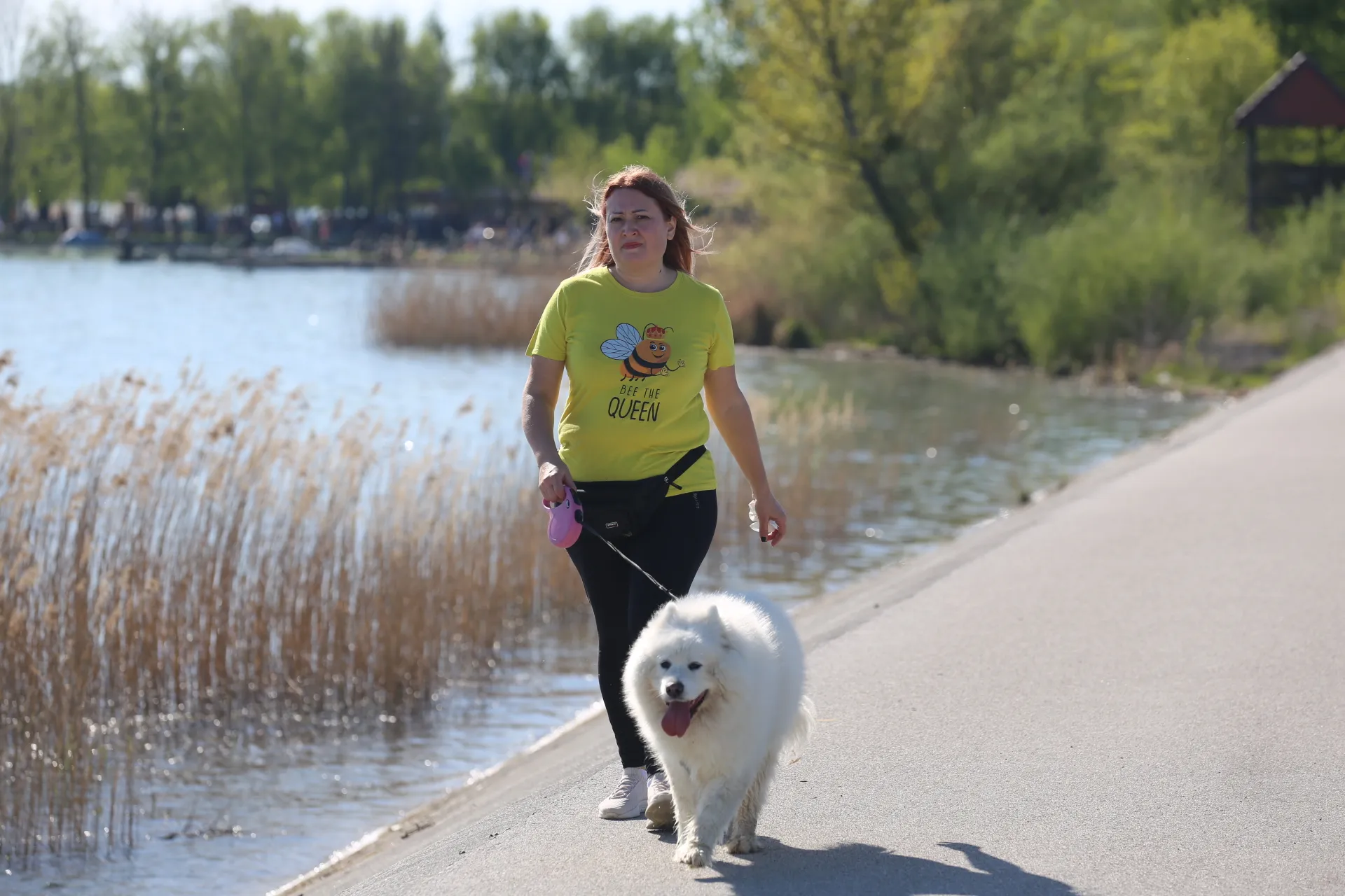 20240407145950_IMG_8281 20240407145950_IMG_8281