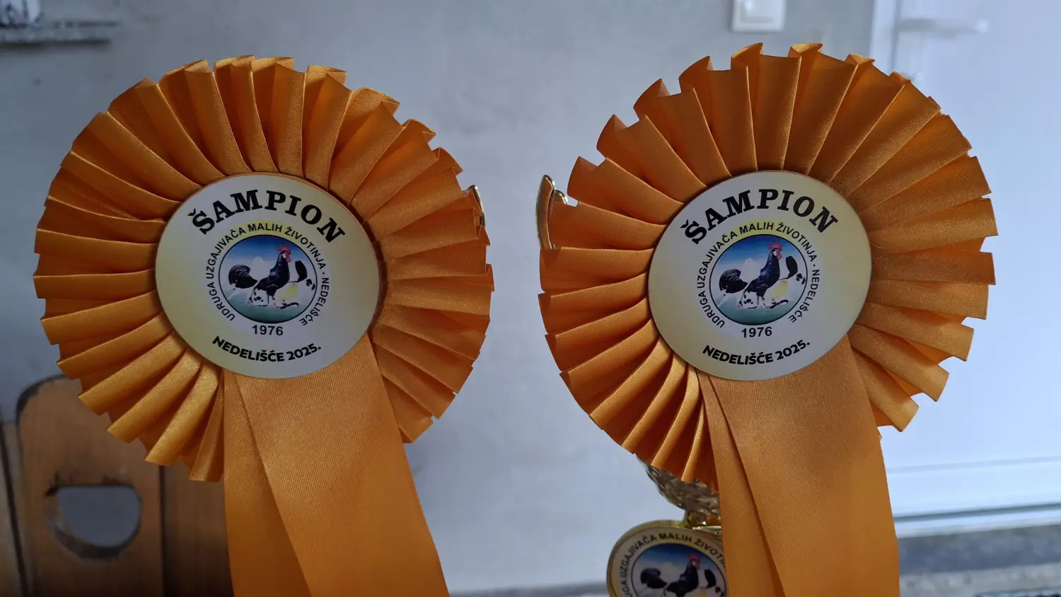 20250112_145339 20250112_145339