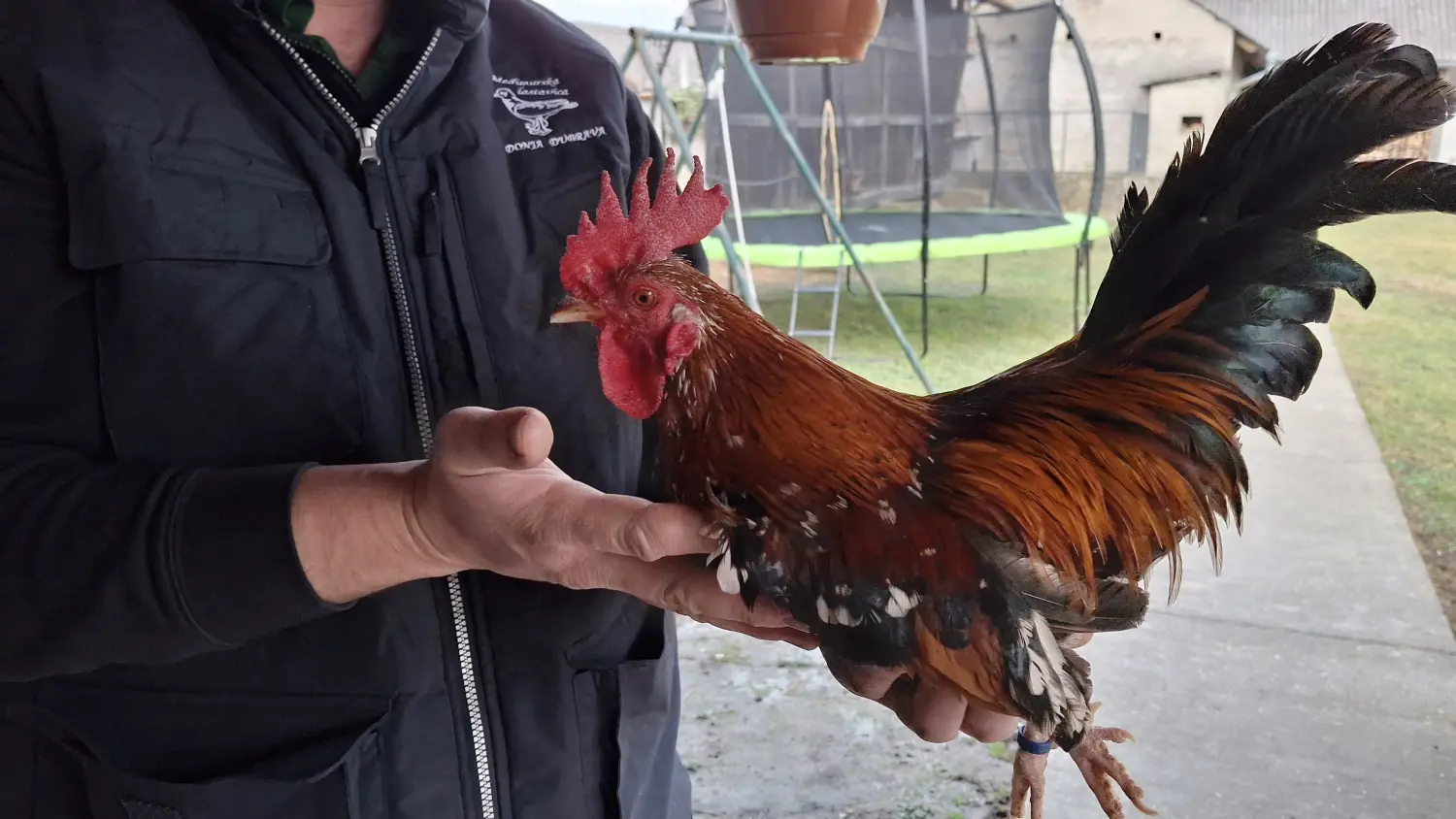 20250112_145843(1) 20250112_145843(1)