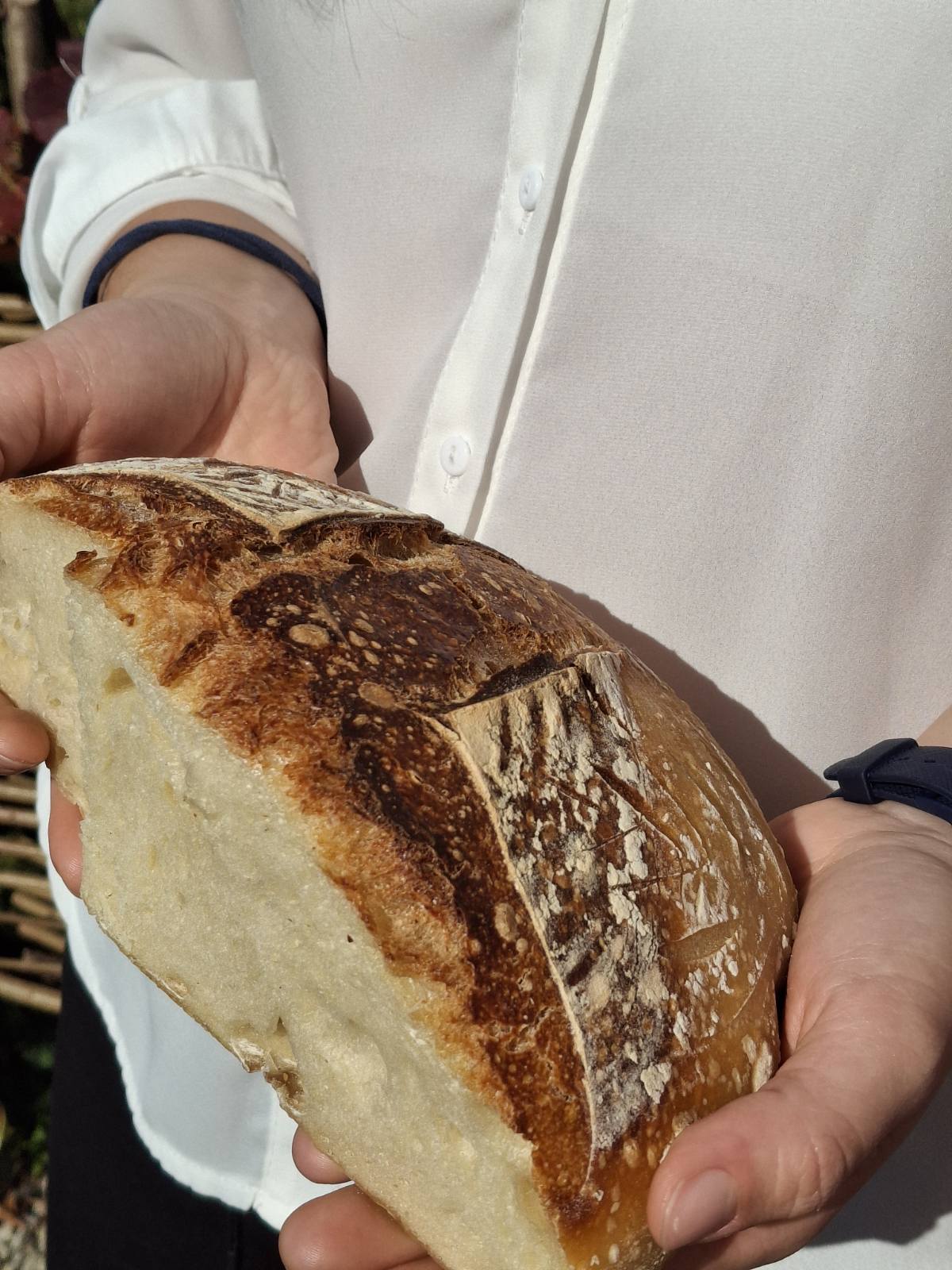 Anai Marciuš Anai Marciuš