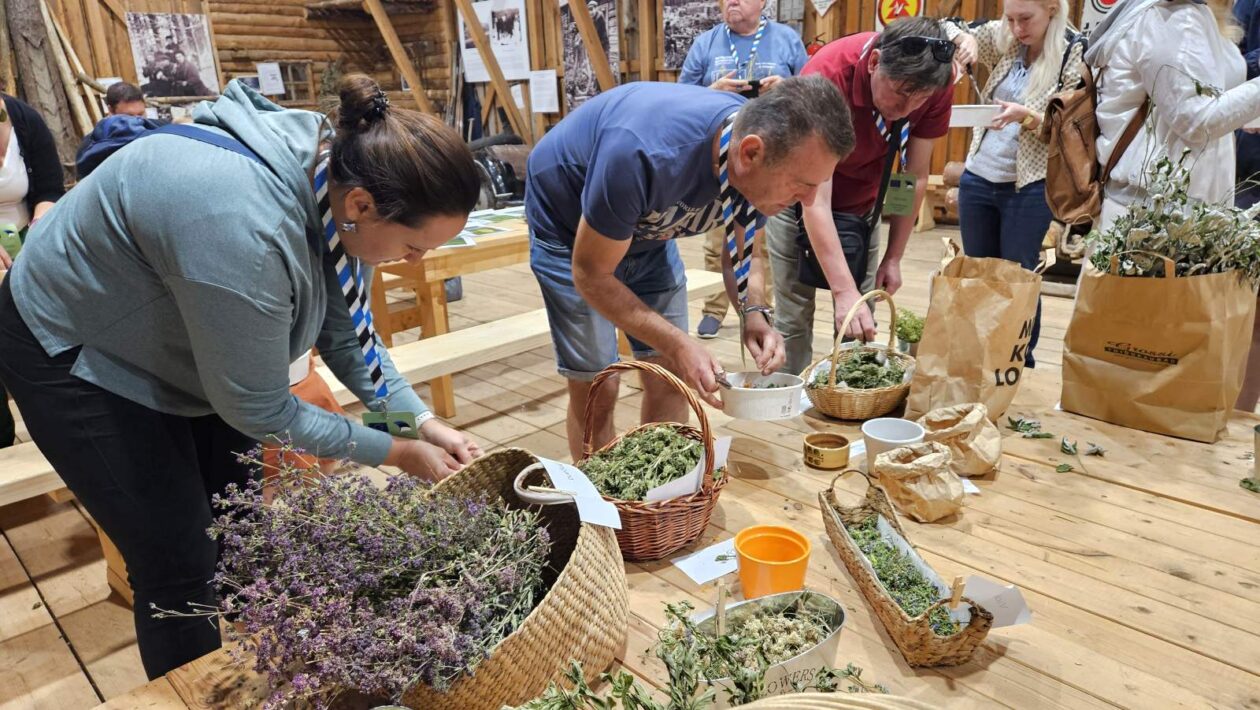 20250806_120513 20250806_120513