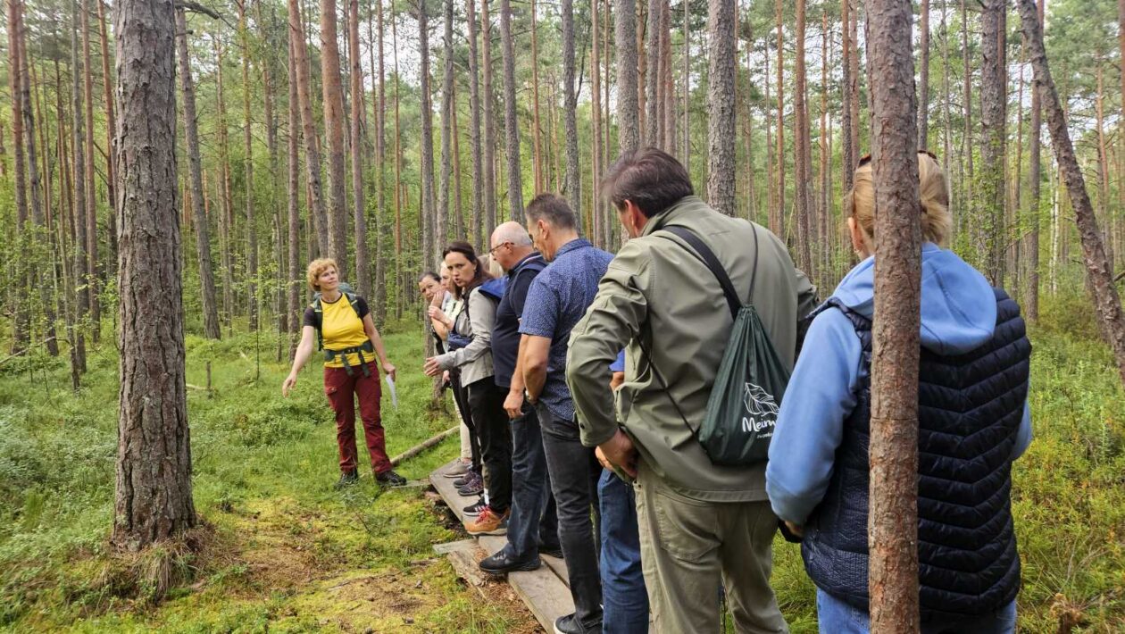 20250808_110404 20250808_110404