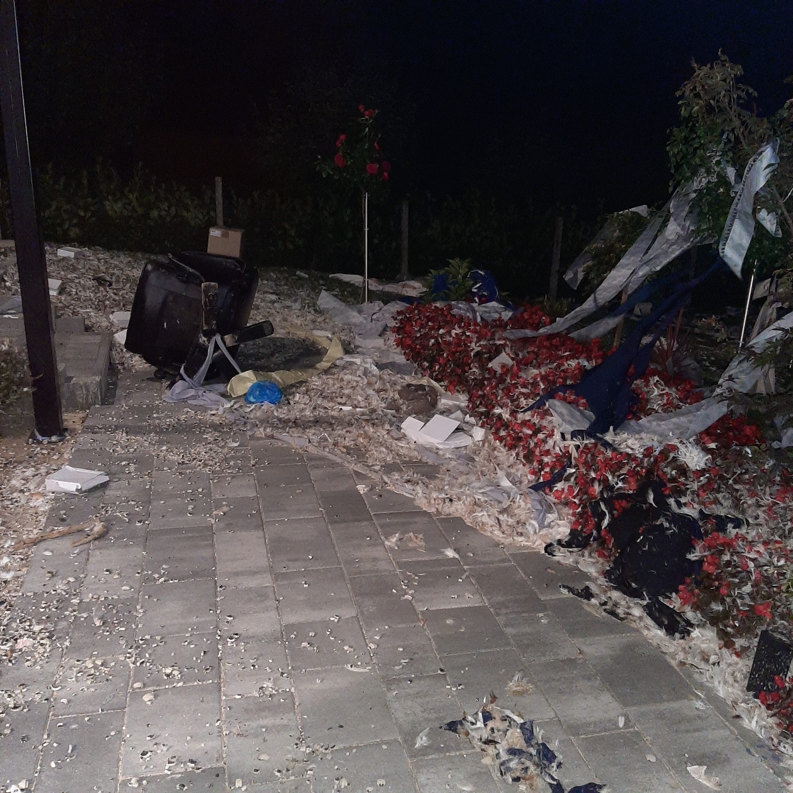 20251005_003347_1 20251005_003347_1