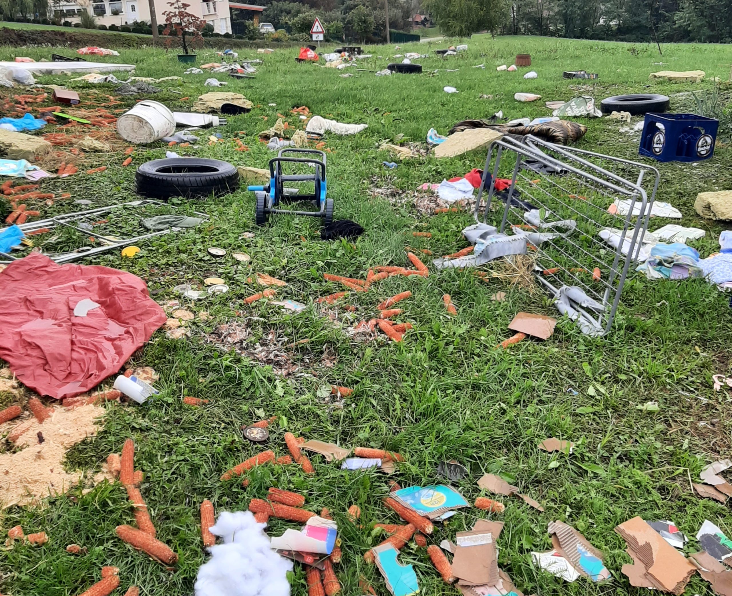 20251005_114228 20251005_114228