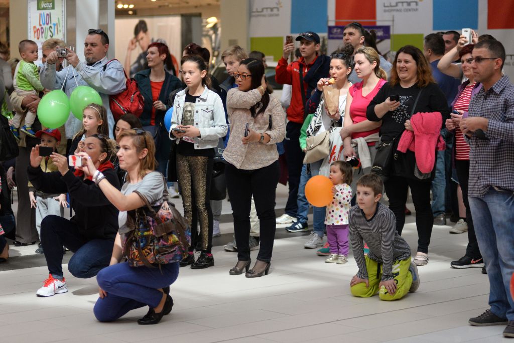 luminirodendan2943308