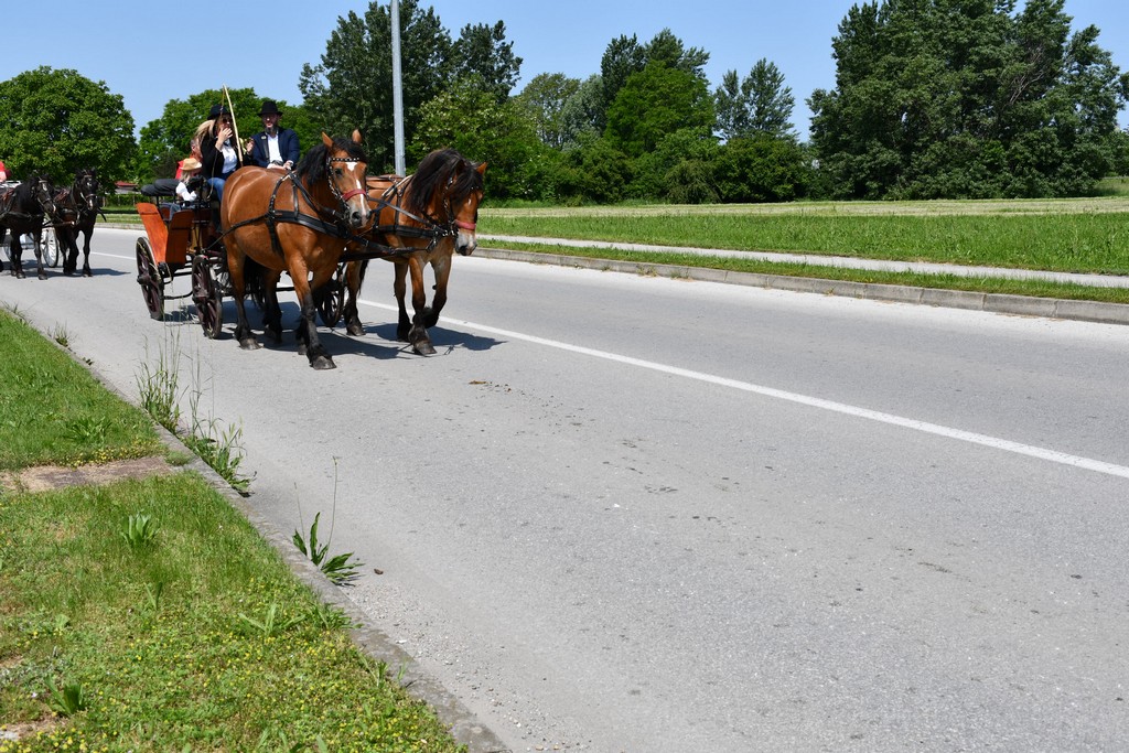 VIDEO I FOTO Međunarodno konjičko druženje okupilo brojne uzgajivače konja iz SZ Hrvatske te Slovenije i Austrije