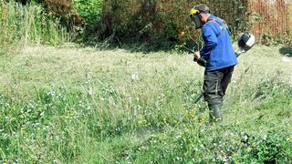 Košnja trave, trava, trimer