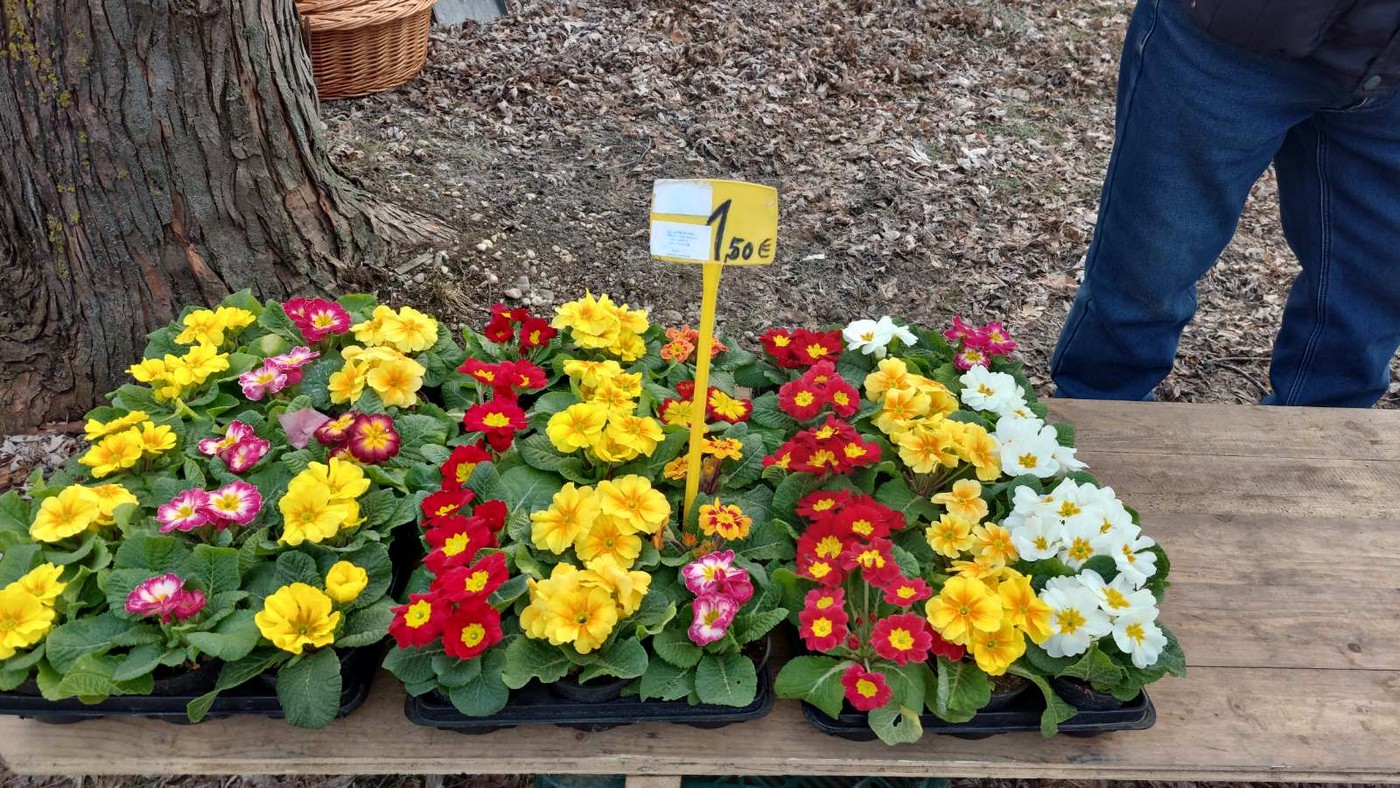 Čakovečki sajam 31.1.2024