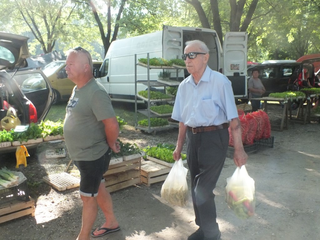 Image 5810905 (auto)