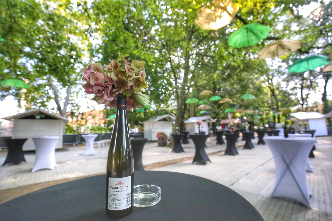 VinoGrad – neodoljiv svijet međimurskih vina na Porcijunkulovom