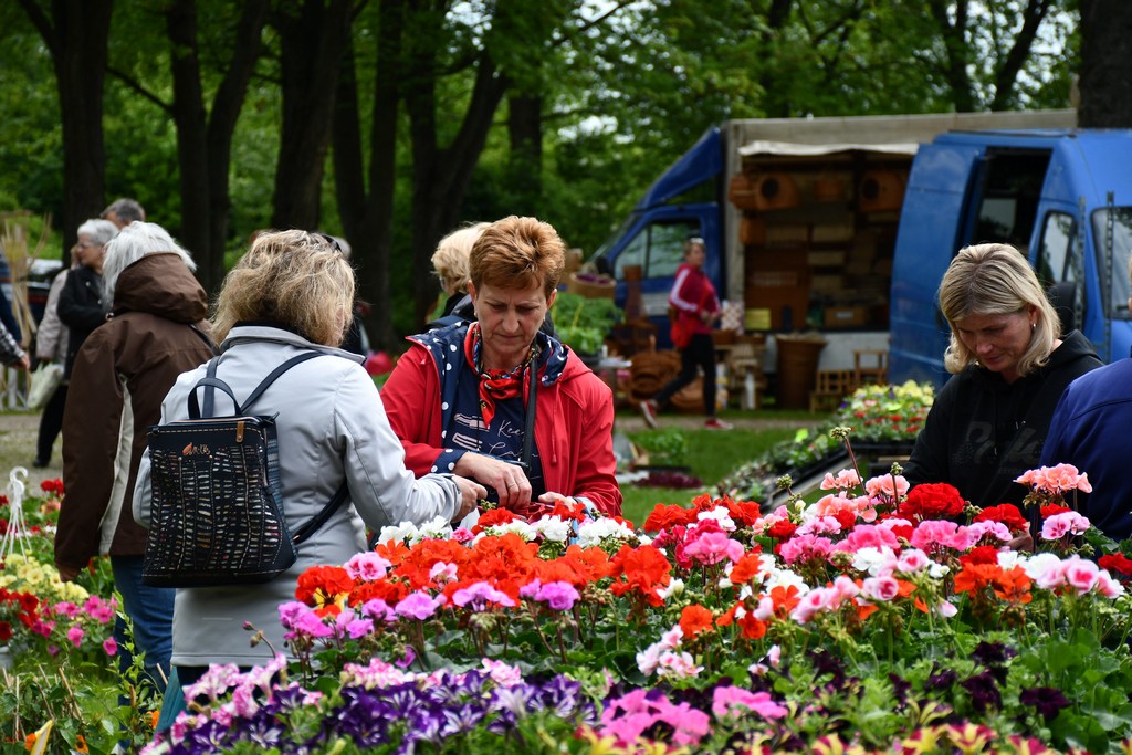 ČAKOVEČKI SAJAM SRIJEDOM Najveći interes i dalje vlada za presadnice