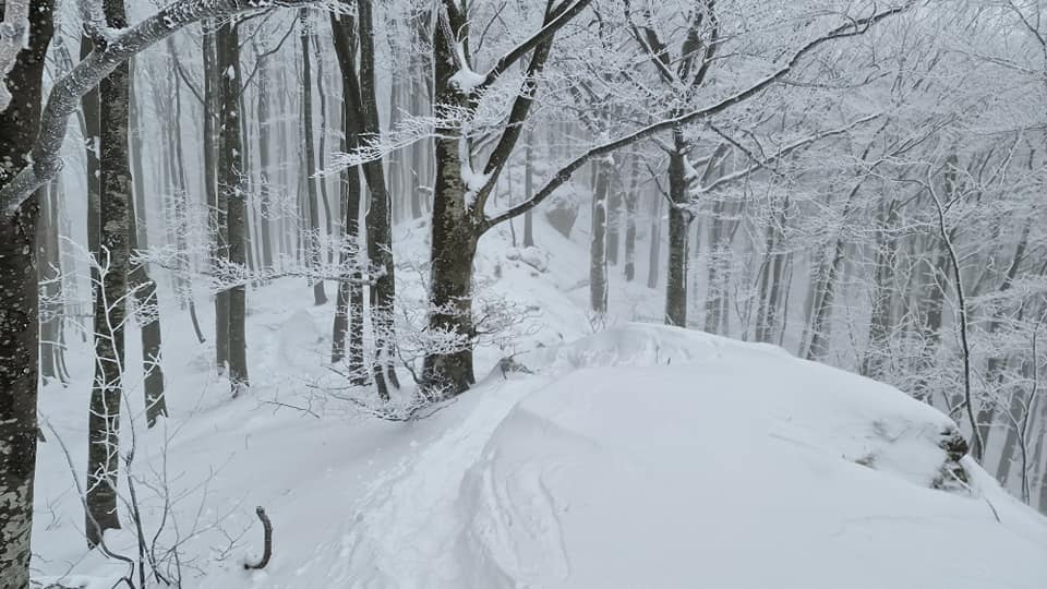 Image 5616155 (auto)